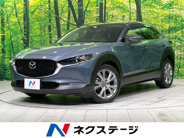 CX-30(マツダ) 2.0 20S プロアクティブ ツーリングセレクション 中古車画像