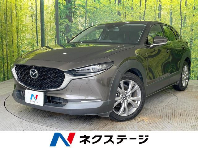 CX-30(マツダ) 1.8 XD プロアクティブ ツーリングセレクション 中古車画像