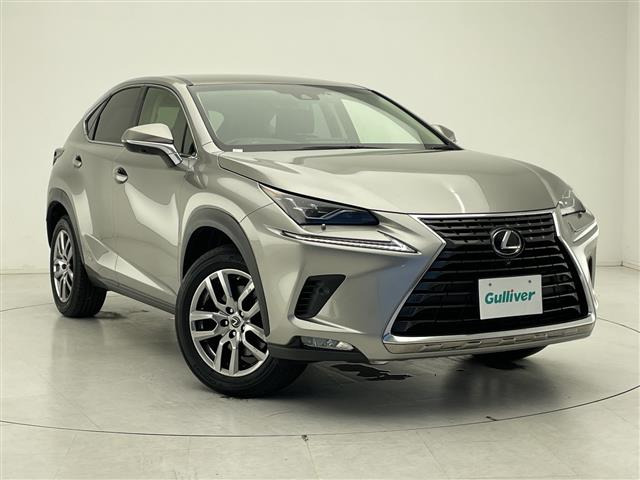 NX300h バージョンL