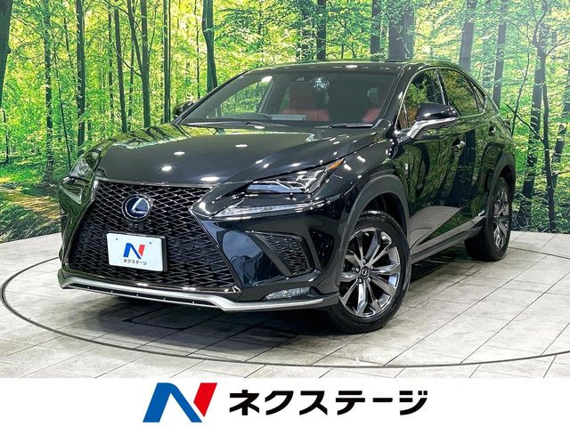 NX(レクサス) 300h Fスポーツ 中古車画像