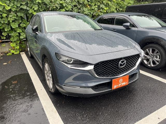 CX-30(マツダ) 1.8 XD プロアクティブ ツーリングセレクション　禁煙車 BOSEサウンドシステム 中古車画像