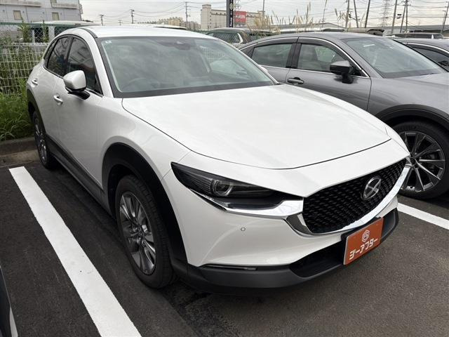 CX-30(マツダ) 2.0 20S プロアクティブ ツーリングセレクション　禁煙車 バックカメラ シートヒーター 中古車画像