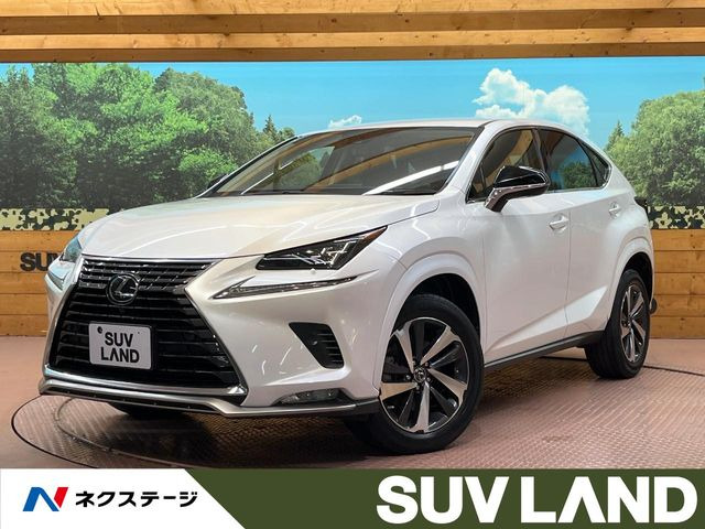 NX(レクサス) 300 スパイス&amp;シック 中古車画像