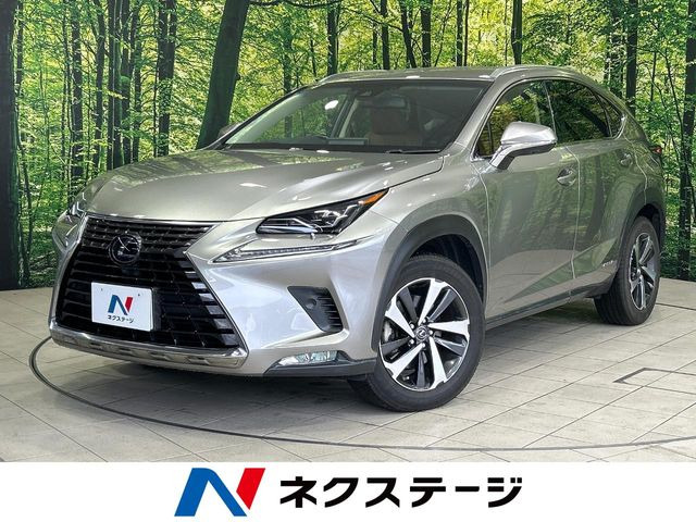 NX(レクサス) 300h バージョンL 中古車画像
