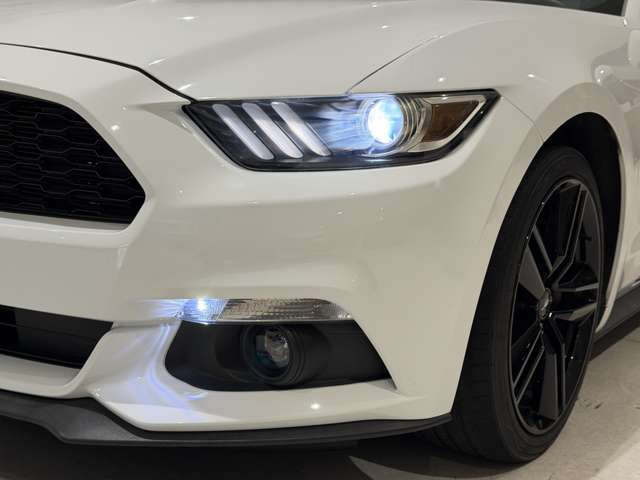 �y���[���戵�z�e��I�[�g���[������舵��������܂��B�����[���A�Œ�10�N�܂ł����p�\�ł��B���R���͊ȒPWeb���͂ɂĖ����ŏ���܂��B