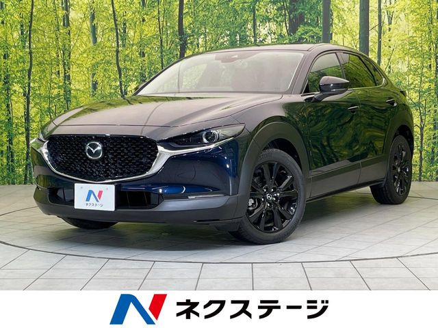 CX-30(マツダ) 2.0 20S ブラックトーンエディション 中古車画像