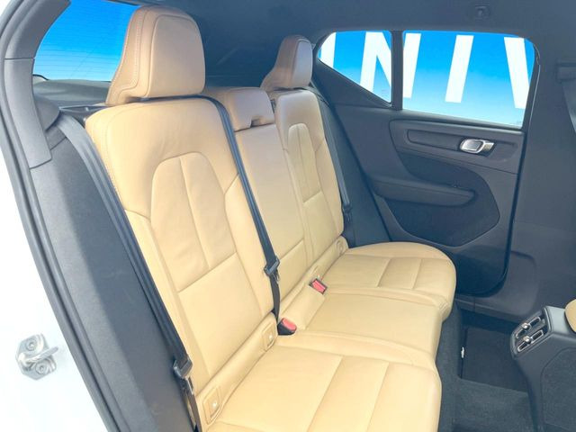 ���㕔���Ȃ��C�ɂȂ�悤�ȃL�Y�E�����ւ��蓙�A�傫�ȃ_���[�W�͂Ȃ��A�ǍD�ȏ�Ԃł��B
