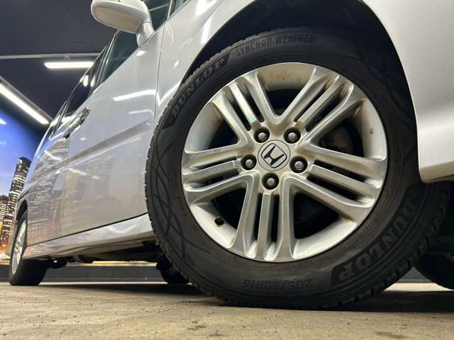 ����16�C���`�A���~�z�C�[��!�A���~�̃R�[�e�B���O��������܂�!���ꂪ���ȃA���~�z�C�[�������S�ł�!!
