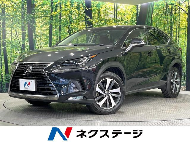 NX(レクサス) 200t Iパッケージ 中古車画像