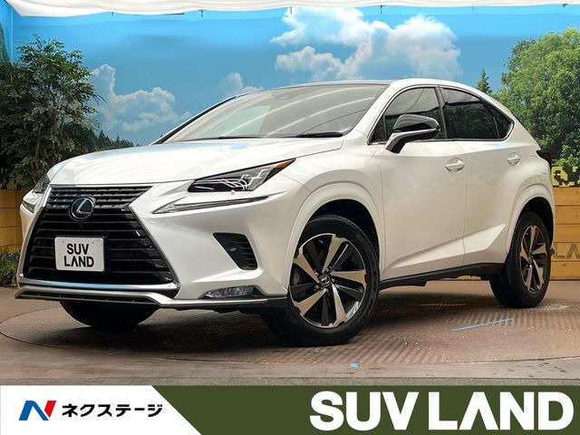 NX(レクサス) 300 スパイス&amp;シック 中古車画像