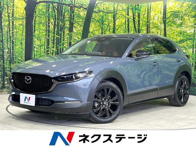 CX-30(マツダ) 2.0 20S レトロスポーツエディション 中古車画像