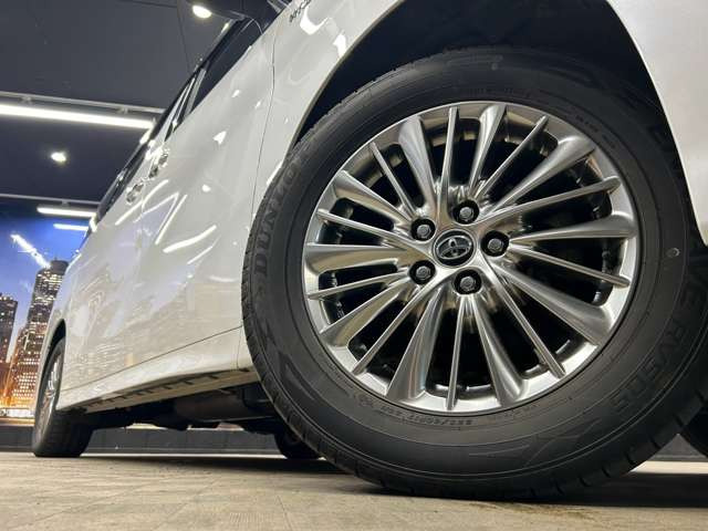 ����17�C���`�A���~�z�C�[��!�A���~�̃R�[�e�B���O��������܂�!���ꂪ���ȃA���~�z�C�[�������S�ł�!!