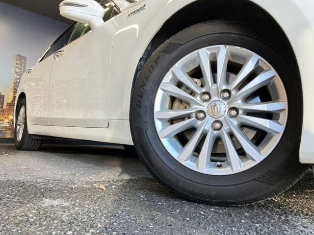 ����16�C���`�A���~�z�C�[��!�A���~�̃R�[�e�B���O��������܂�!���ꂪ���ȃA���~�z�C�[�������S�ł�!!
