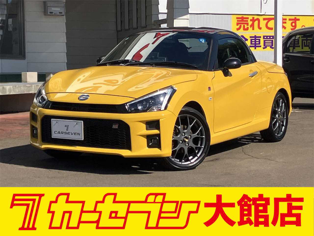 �R�y��(�_�C�n�c) GR �X�|�[�c ���Îԉ摜