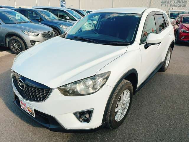�y39.8���X�J�[�Y�̎��q���������������A���ɂ��肪�Ƃ��������܂��B���������q�s�Ö�368-1
