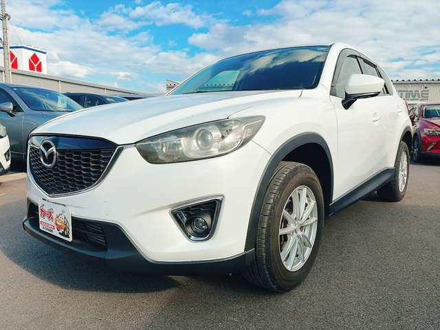 �y39.8���X�J�[�Y�̎��q���������������A���ɂ��肪�Ƃ��������܂��B���������q�s�Ö�368-1