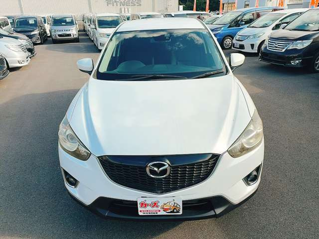 WEB�ETEL���k�s�Ȃ��Ă���܂�!�����X���������Ȃ��Ă����k�E���w���\�ł�!���C�y�ɓX���ւ��⍇������������