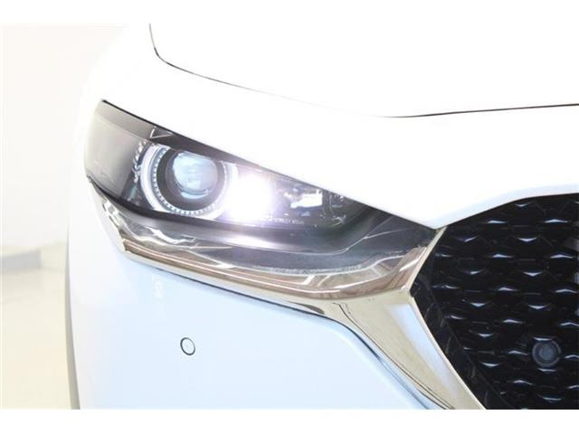 �ቿ�i�ŗǎ��Ȃ��Ԃ�S�Б���3,000�݌ɂ��炨�I�т��������܂��B�c�Ǝ��� 10:00�`19:00