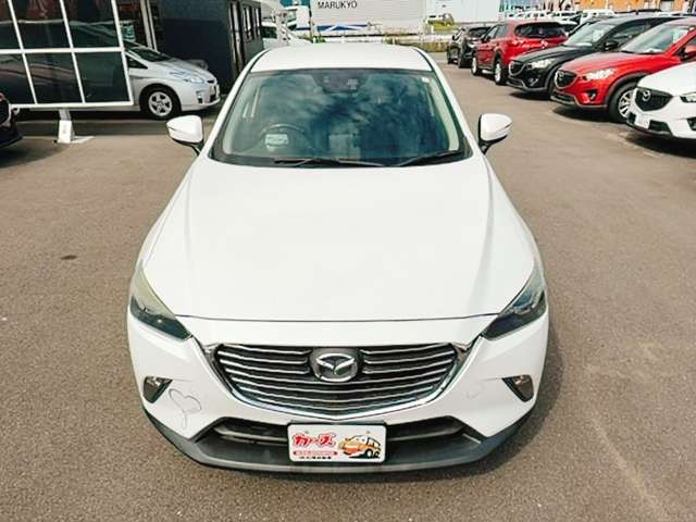 WEB�ETEL���k�s�Ȃ��Ă���܂�!�����X���������Ȃ��Ă����k�E���w���\�ł�!���C�y�ɓX���ւ��⍇������������