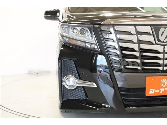 �ቿ�i�ŗǎ��Ȃ��Ԃ�S�Б���3,000�݌ɂ��炨�I�т��������܂��B�c�Ǝ��� 10:00�`19:00