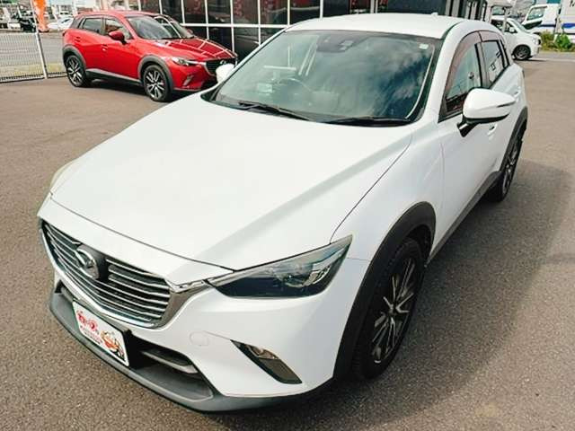 �y39.8���X�J�[�Y�̎��q���������������A���ɂ��肪�Ƃ��������܂��B���������q�s�Ö�368-1