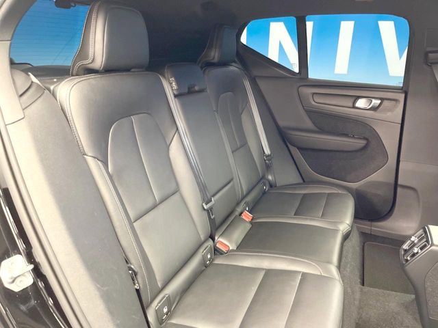 ���㕔���Ȃ��C�ɂȂ�悤�ȃL�Y�E�����ւ��蓙�A�傫�ȃ_���[�W�͂Ȃ��A�ǍD�ȏ�Ԃł��B