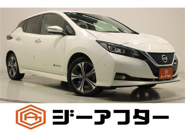 リーフ(日産) e+ G　BOSEプレミアムサウンドシステム 禁煙車 中古車画像