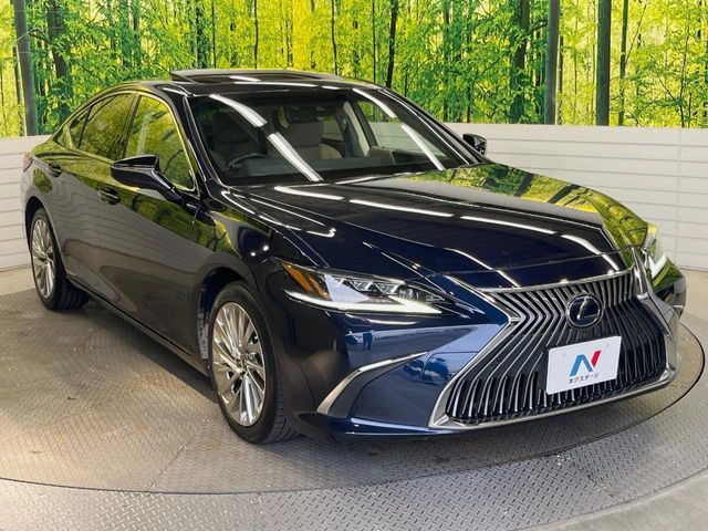 �������x�̃K���X�疌�ŝ����͂������A�㎿�ȃc���E����������B���O����_���J�����؂Ȉ��Ԃ�ی삵�A�F�����E�򉻂�h�~�B�u�e�X�v���b�V���R�[�g�v�A�u�e�v���~�b�T�R�[�g�v���炨�I�т��������܂��B