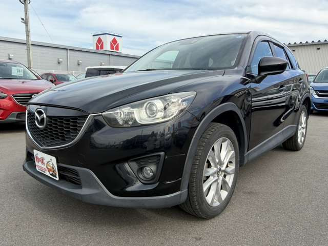 �y39.8���X�J�[�Y�̎��q���������������A���ɂ��肪�Ƃ��������܂��B���������q�s�Ö�368-1