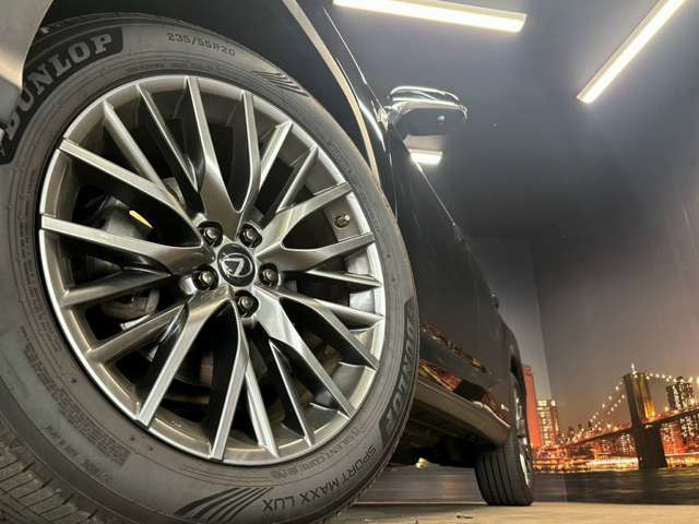 ����20�C���`�A���~�z�C�[��!�A���~�̃R�[�e�B���O��������܂�!���ꂪ���ȃA���~�z�C�[�������S�ł�!!