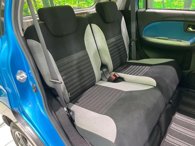 �㕔���Ȃ��C�ɂȂ�悤�ȃL�Y�E�����ւ��蓙�A�傫�ȃ_���[�W�͂Ȃ��A�ǍD�ȏ�Ԃł��B