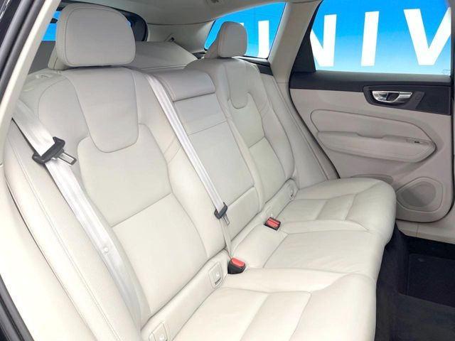 ���㕔���Ȃ��C�ɂȂ�悤�ȃL�Y�E�����ւ��蓙�A�傫�ȃ_���[�W�͂Ȃ��A�ǍD�ȏ�Ԃł��B