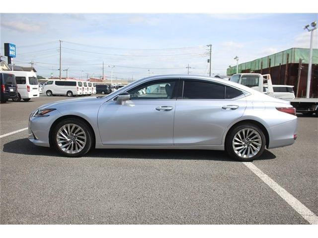 ���Ǝҗl�ւ̔̔��͂��f�肳���Ă��������܂��B �Ԍ������ԗ��̏ꍇ�́A�Ԍ����擾�������x�������z�ŕ\�����Ă���܂��B
