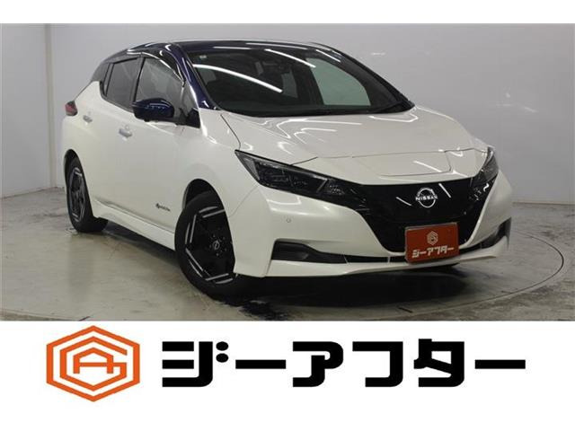 リーフ(日産) X　ワンオーナー 後期型 純正9インチナビ 中古車画像