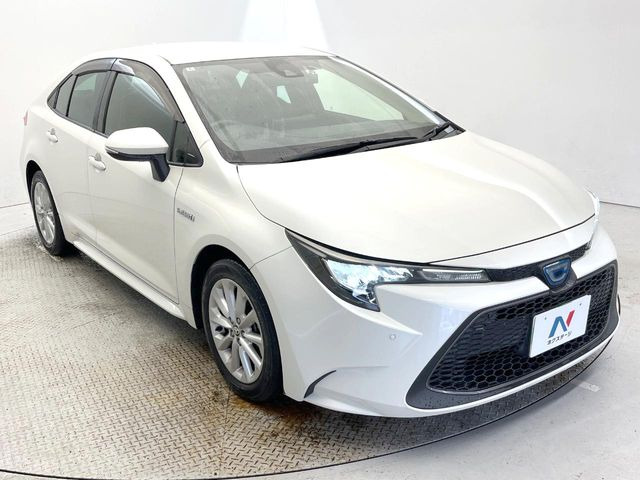 �������x�̃K���X�疌�ŝ����͂������A�㎿�ȃc���E����������B���O����_���J�����؂Ȉ��Ԃ�ی삵�A�F�����E�򉻂�h�~�B�u�e�X�v���b�V���R�[�g�v�A�u�e�v���~�b�T�R�[�g�v���炨�I�т��������܂��B