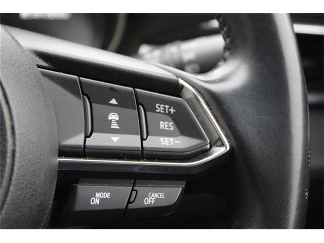 ���ЃI�[�g���[���͓����E�{�[�i�X�����s�v�B�Œ�84��܂ŉ\�ƂȂ��Ă���܂��B�R�������ł��\���܂���̂ł��C�y�ɂ����k���������B