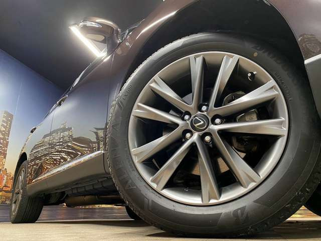 ����19�C���`�A���~�z�C�[��!�A���~�̃R�[�e�B���O��������܂�!���ꂪ���ȃA���~�z�C�[�������S�ł�!!